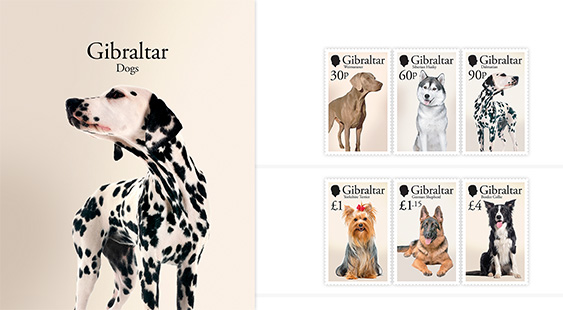 Chiens