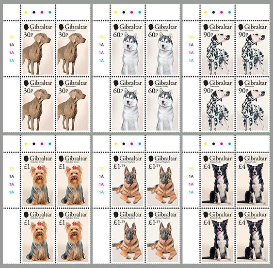  Chiens