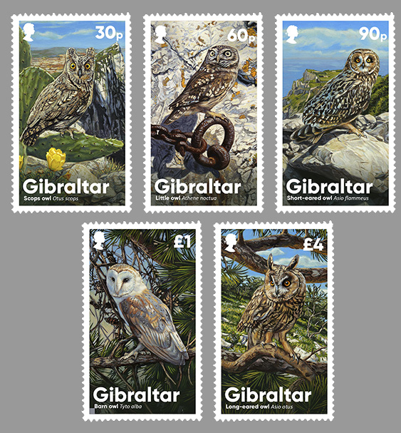 Gibraltar Owls