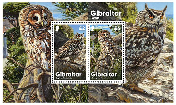 Gibraltar Owls CTO