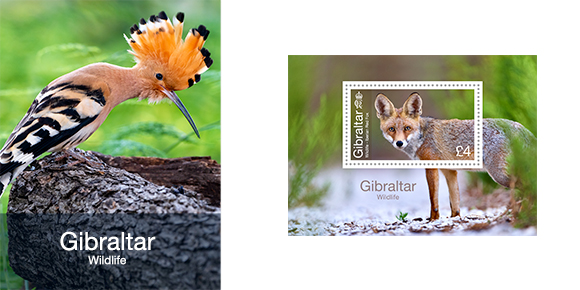 Gibraltar Wildlife