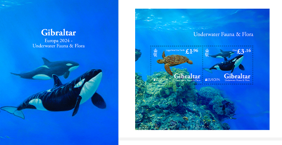 EUROPA 2024 Underwater Fauna and Flora