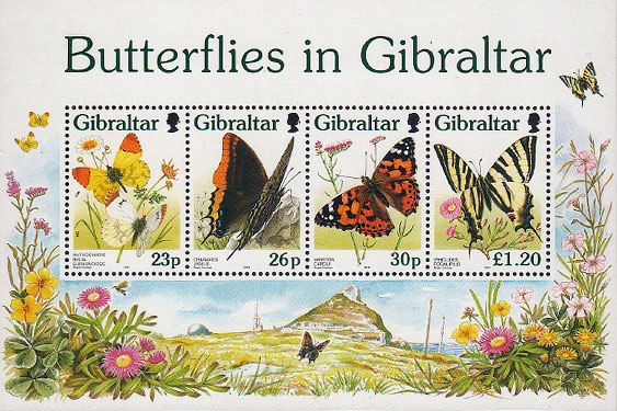 Butterflies in Gibraltar