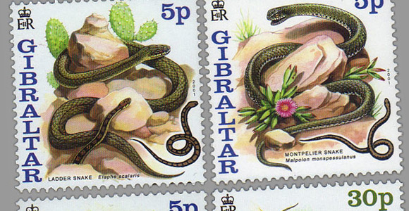 Serpientes de Gibraltar